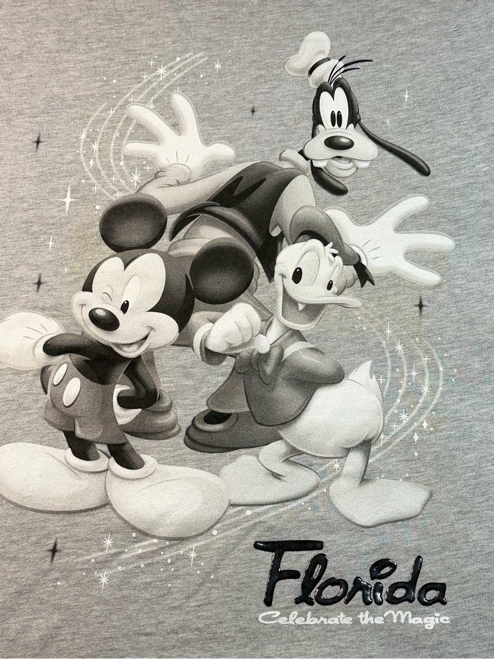Disney Gray Mickey, Donald & Goofy Florida Graphic Tee - Picture 9 of 9